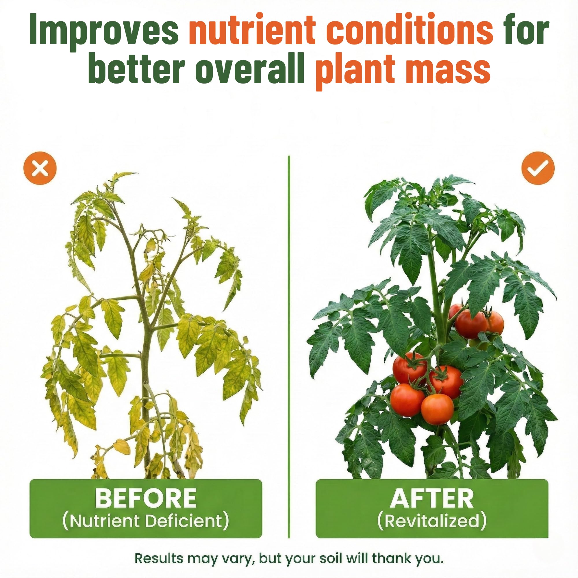 GS Plant Foods planta con raíces fuertes beneficiada por el kelp