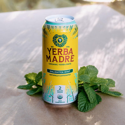 Guayaki Yerba Madre label close-up showing plant-sourced caffeine and clear branding