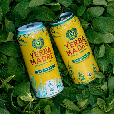 Person sipping Guayaki Yerba Madre outdoors demonstrating portable steady energy