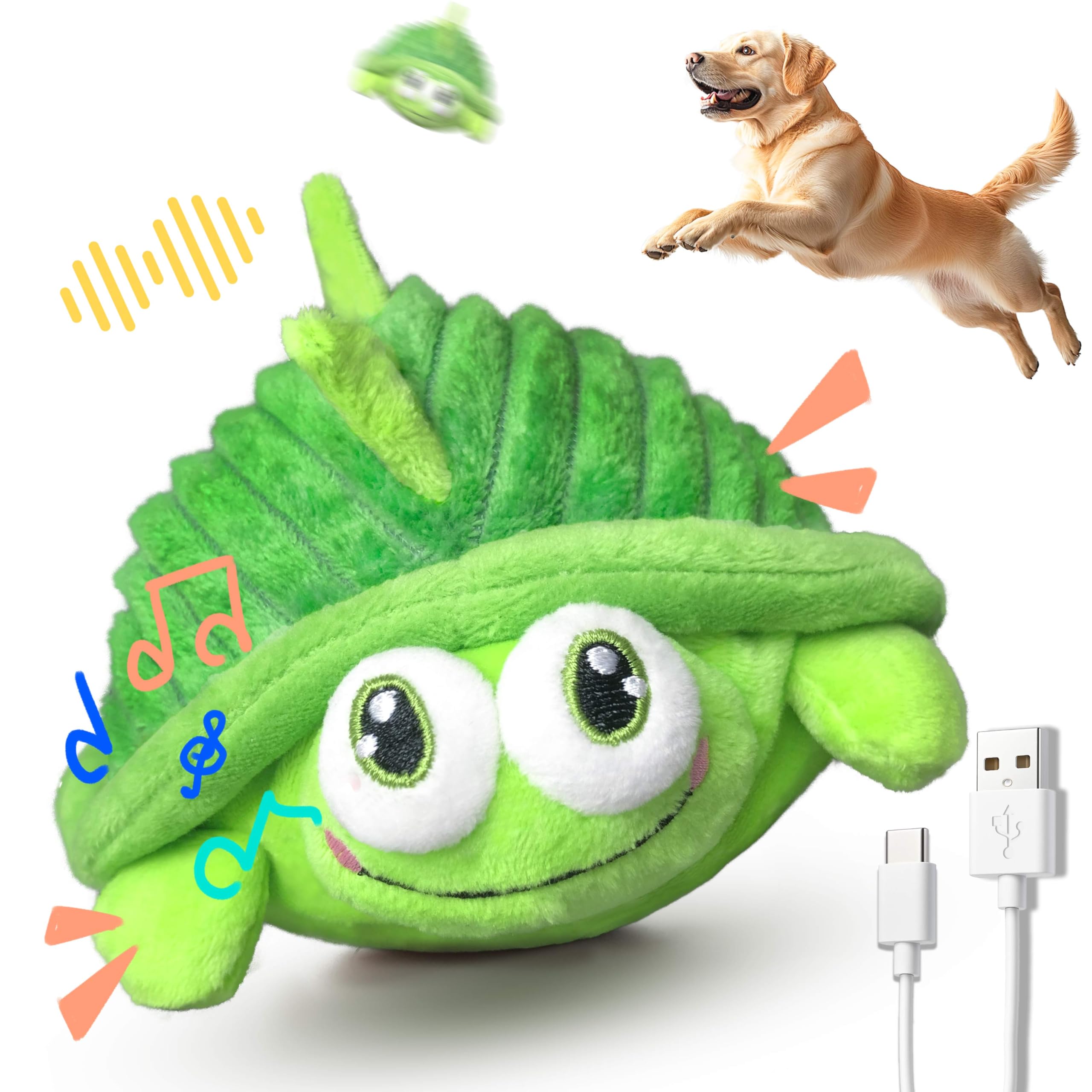 GUKCO tortuga frontal mostrando diseño y forma, atrae atención del perro