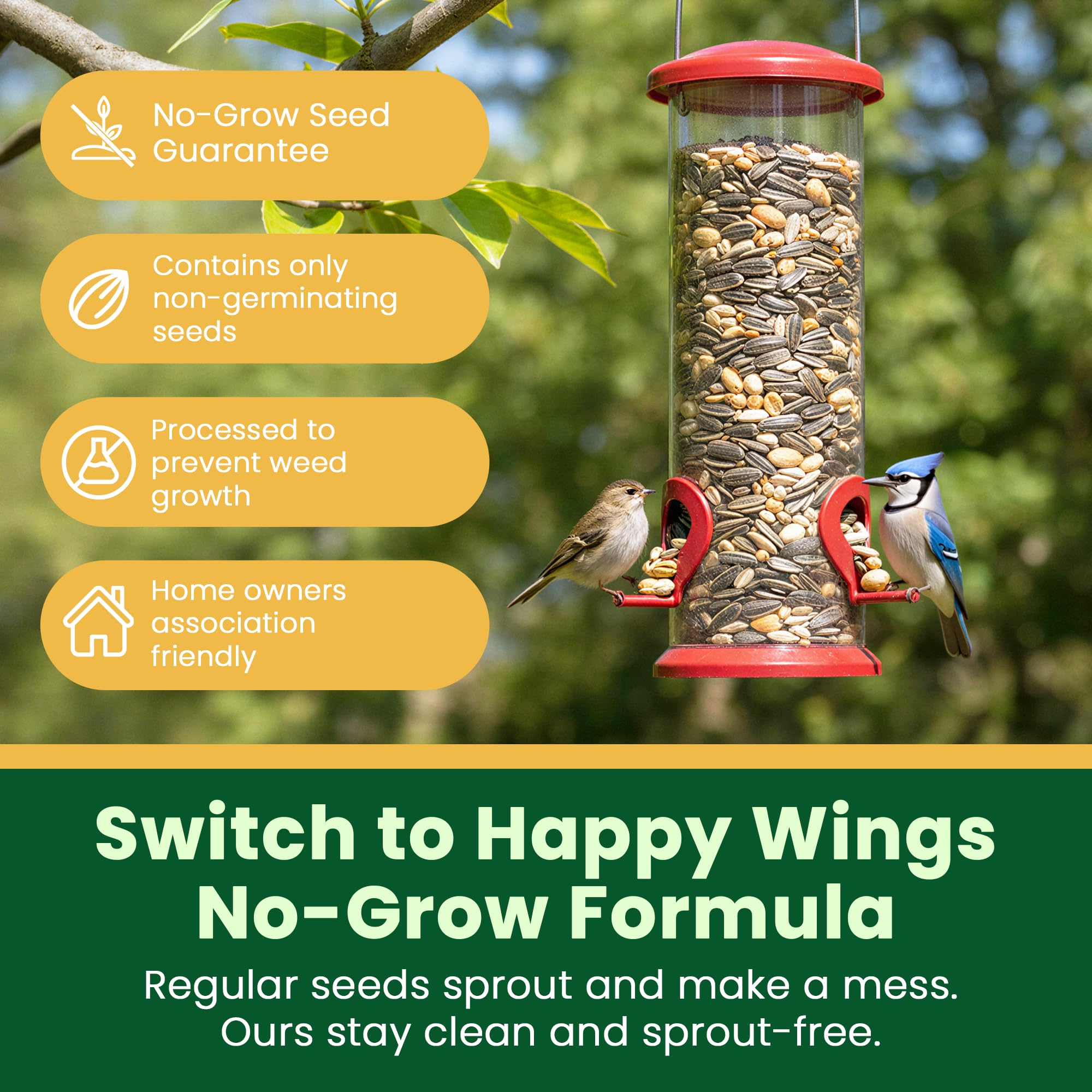 Happy Wings detalle de textura de semillas, mezcla atractiva para aves