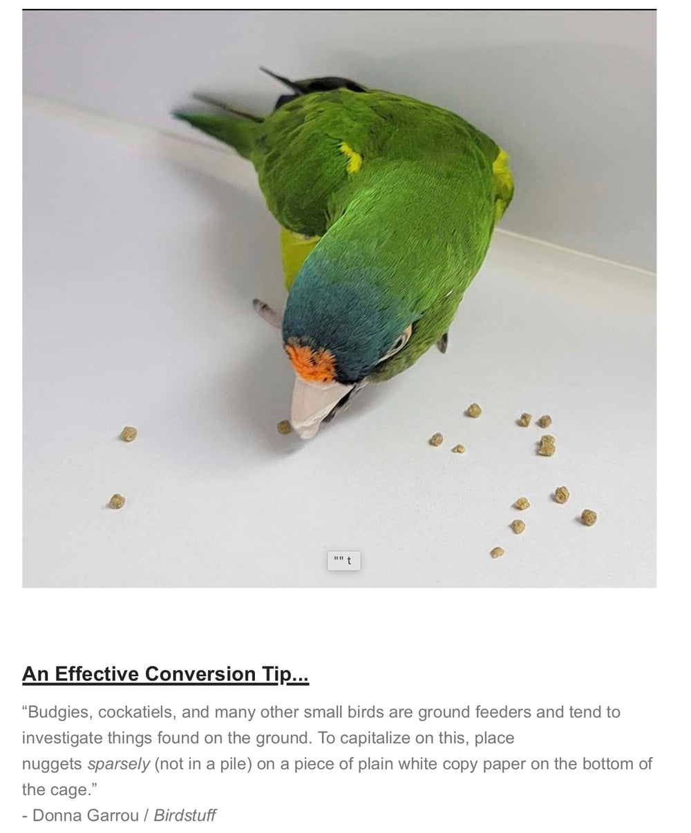Harrison's Bird Foods en ambiente doméstico demostrando alimento de mantenimiento