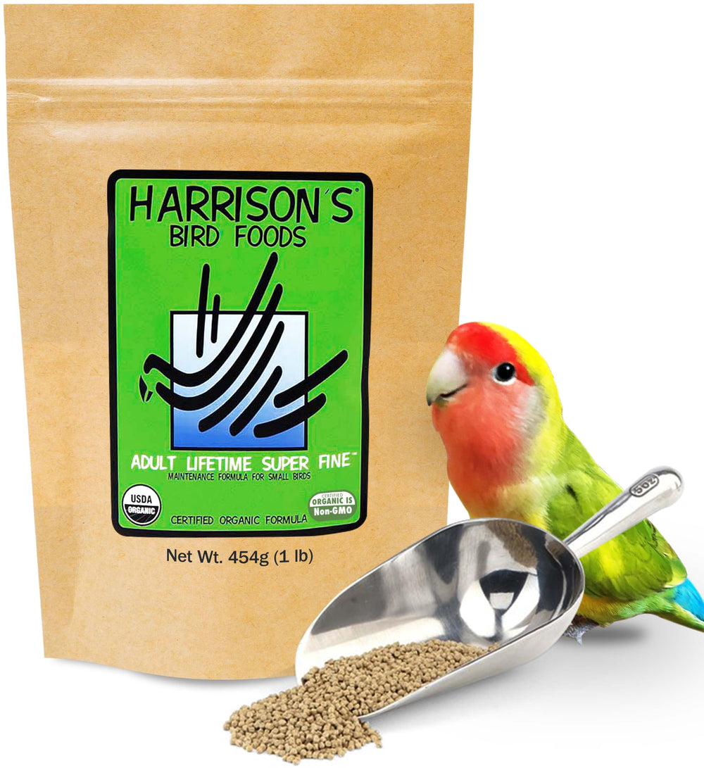 Harrison's jaula con ambiente limpio y alimento para bienestar diario