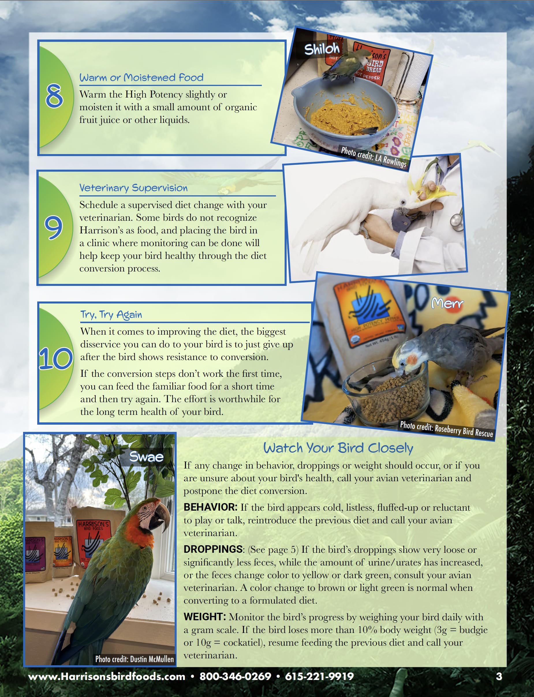 Harrison's Bird Foods en jaula con ave consumiendo, promueve alimentación estable