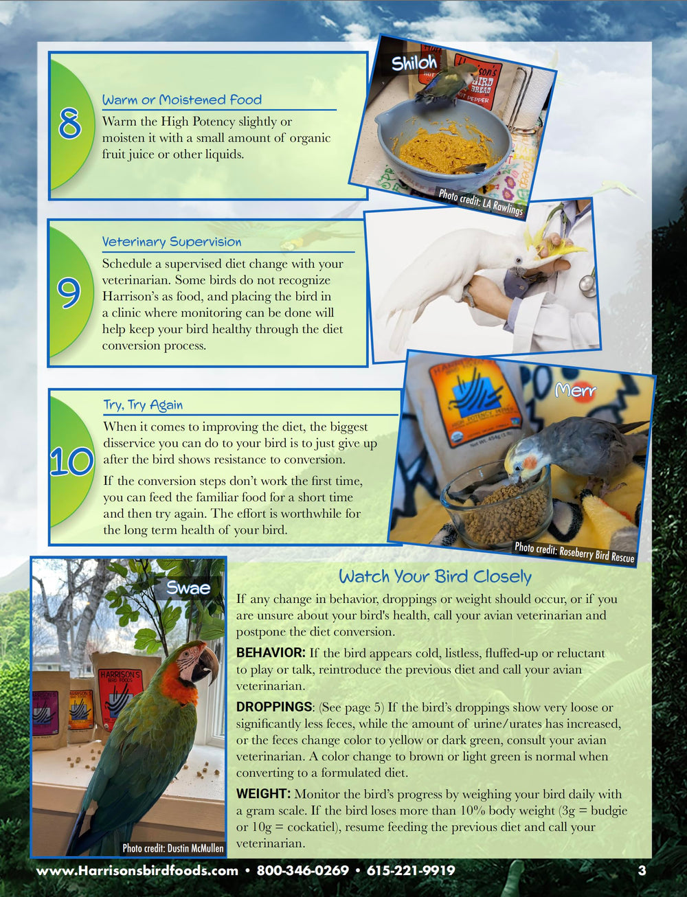 Harrison's Bird Foods en jaula con ave consumiendo, promueve alimentación estable