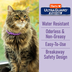 Hartz collar ajustado en gatito demostrando comodidad y ajuste seguro