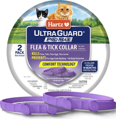Hartz collar antipulgas frontal con empaque que muestra protección prolongada