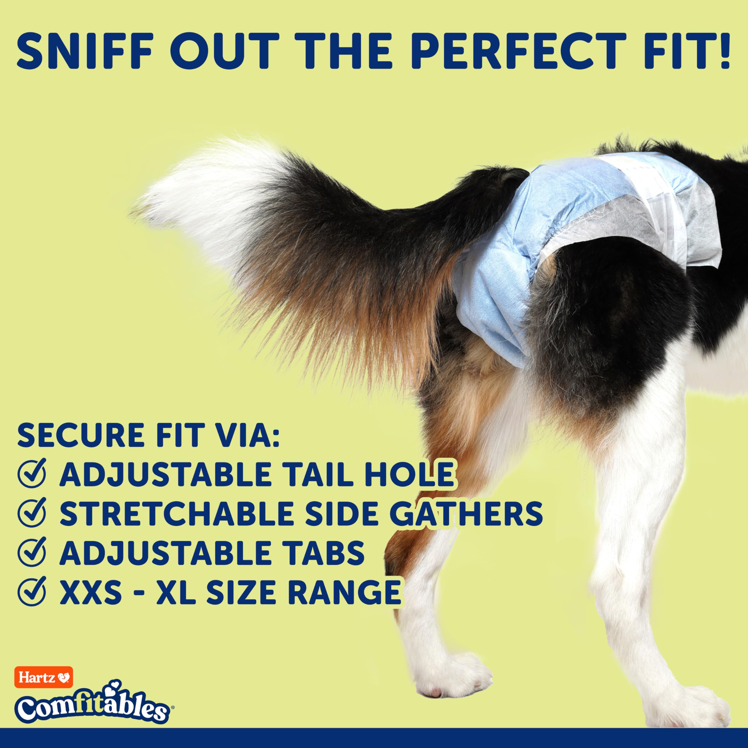 Hartz diaper on medium dog side view offering secure comfortable fit