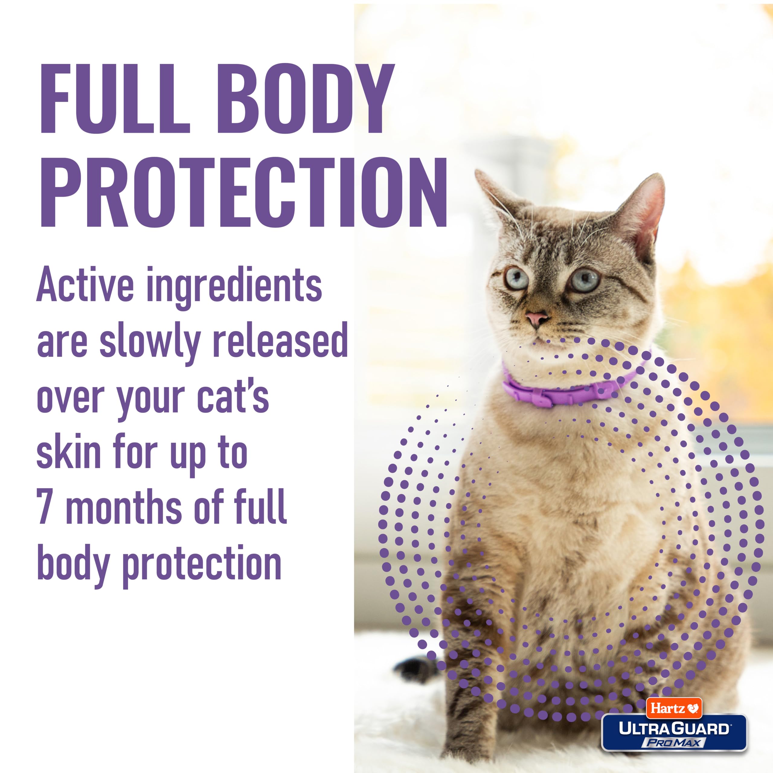 Hartz dos collares en paquete ideal para múltiples gatos o uso prolongado
