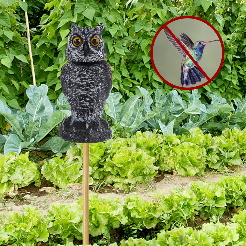 Hausse búho montado en varilla protegiendo plantas en el jardín