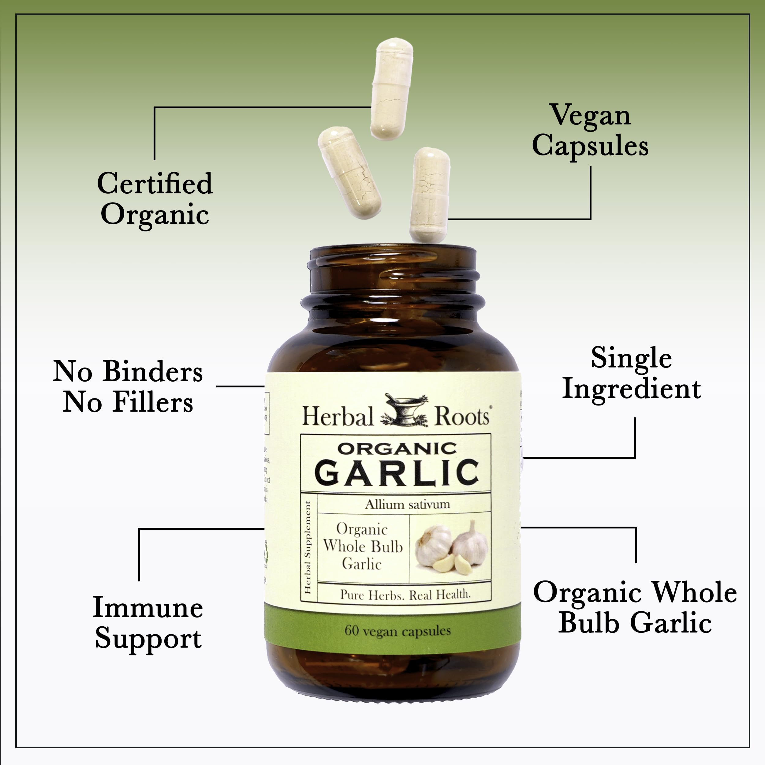 Herbal Roots bulbo de ajo orgánico entero junto a cápsulas para comparar origen