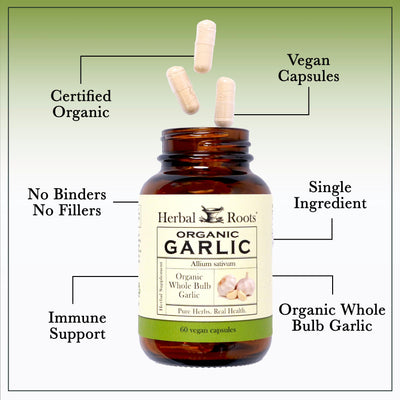 Herbal Roots bulbo de ajo orgánico entero junto a cápsulas para comparar origen