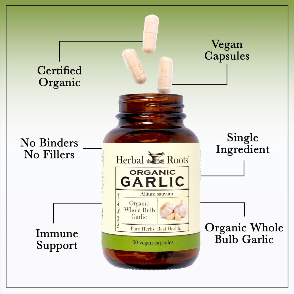 Herbal Roots bulbo de ajo orgánico entero junto a cápsulas para comparar origen