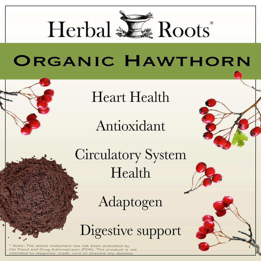 Herbal Roots cápsula abierta con polvo de baya, demuestra pureza y concentración