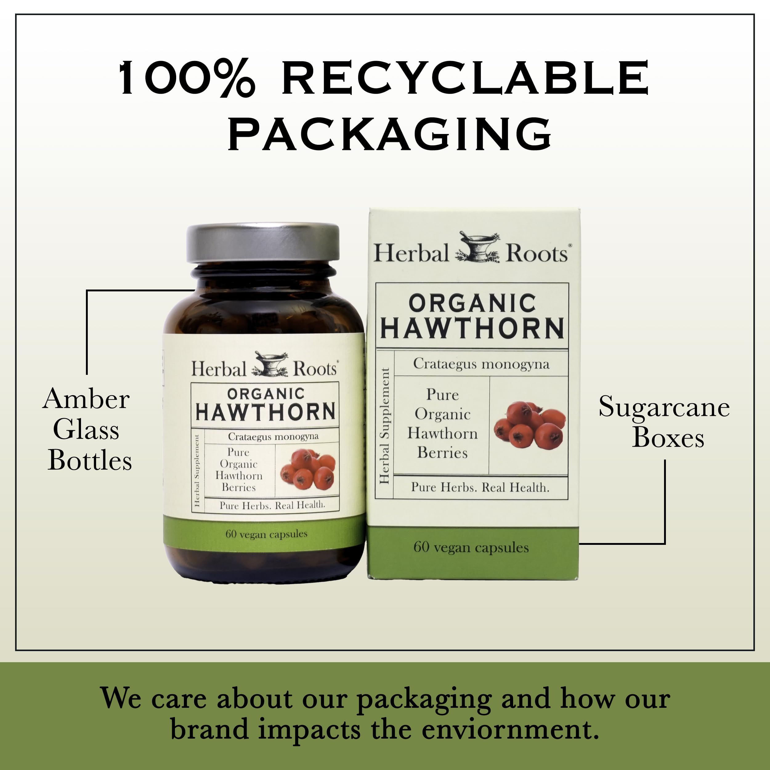 Herbal Roots frasco junto a regla para comparar tamaño, aclara cantidad de 60 cápsulas