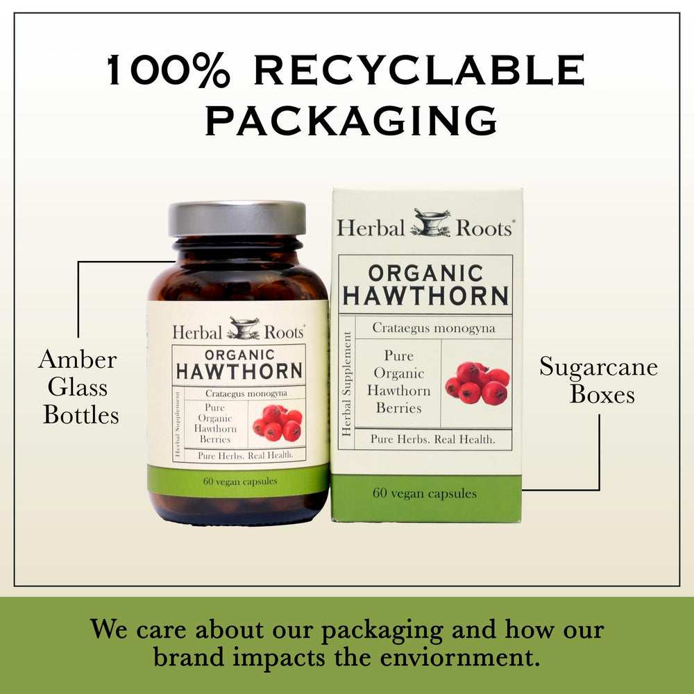 Herbal Roots frasco junto a regla para comparar tamaño, aclara cantidad de 60 cápsulas