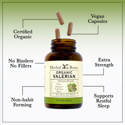 Hand holding Herbal Roots capsules to show scale and easy-to-swallow benefit