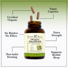 Hand holding Herbal Roots capsules to show scale and easy-to-swallow benefit