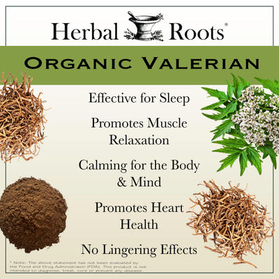 Herbal Roots powder texture detail indicating pure organic valerian root quality