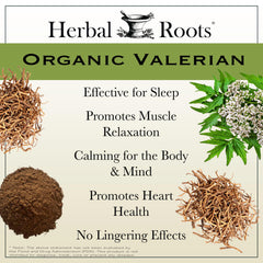 Herbal Roots powder texture detail indicating pure organic valerian root quality