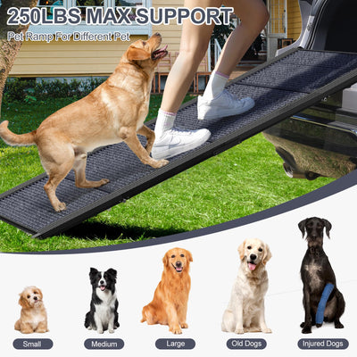 HerCcreta wigge close-up carpet texture cushioning paws and improving traction