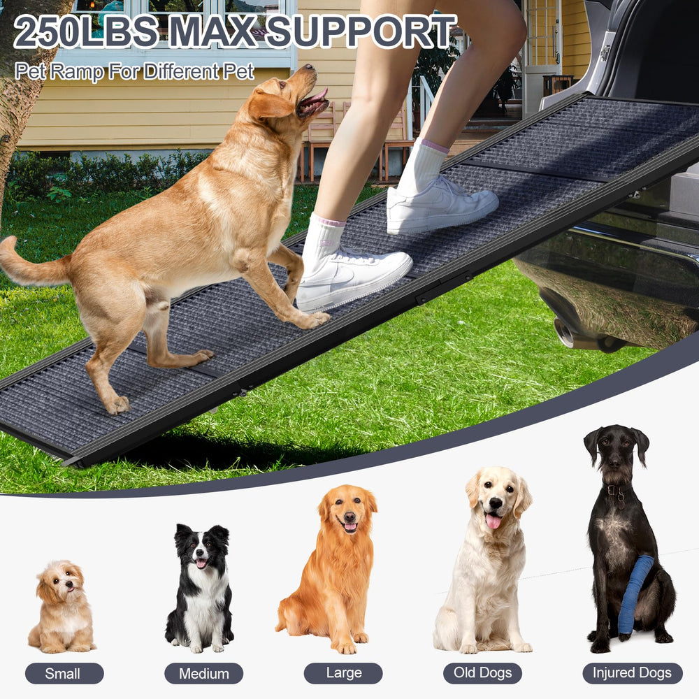HerCcreta wigge close-up carpet texture cushioning paws and improving traction