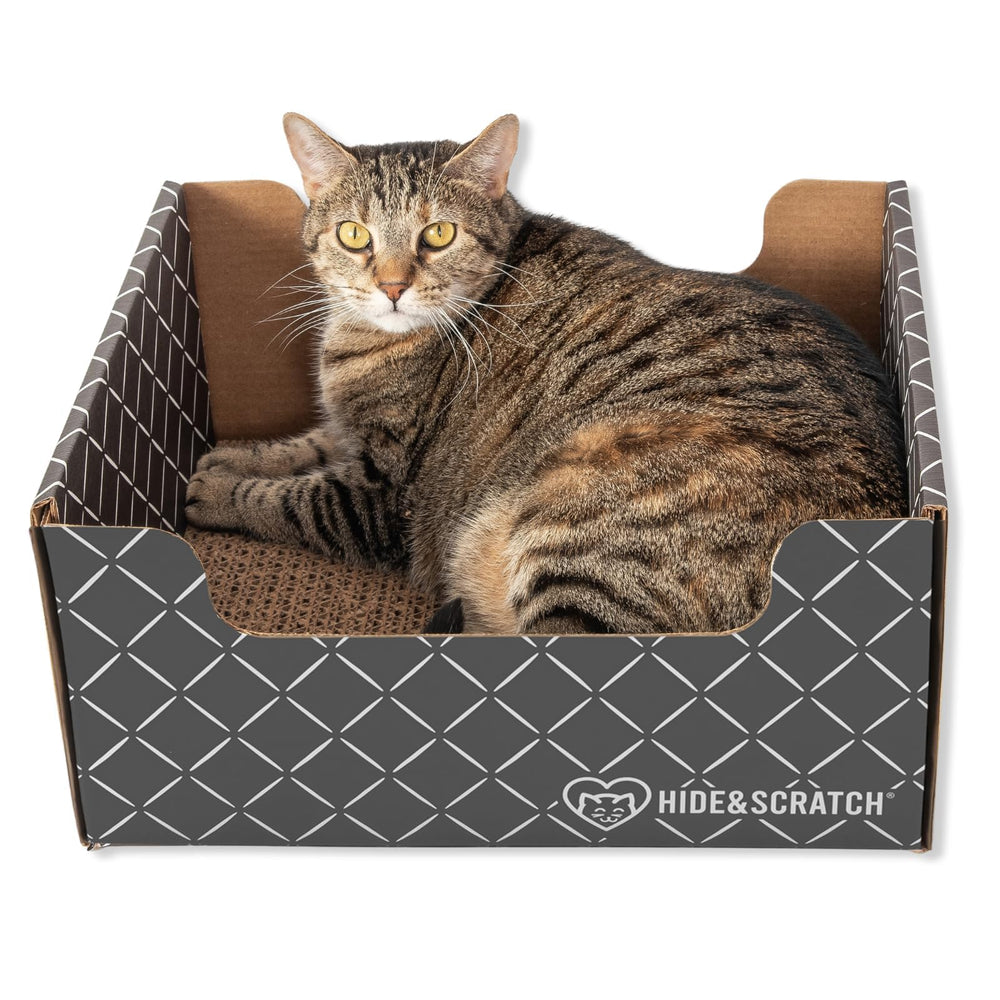 Hide & Scratch vista frontal del rascador-caja mostrando su diseño compacto y acogedor