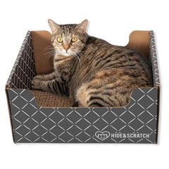 Hide & Scratch vista frontal del rascador-caja mostrando su diseño compacto y acogedor