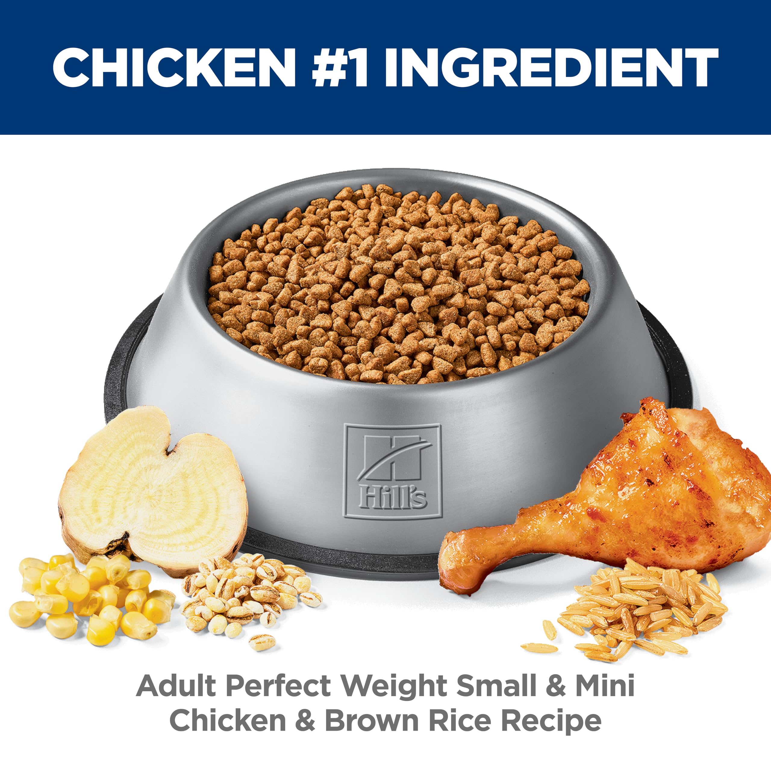 Hill's Science Diet primer plano de ingredientes naturales y beneficios nutricionales