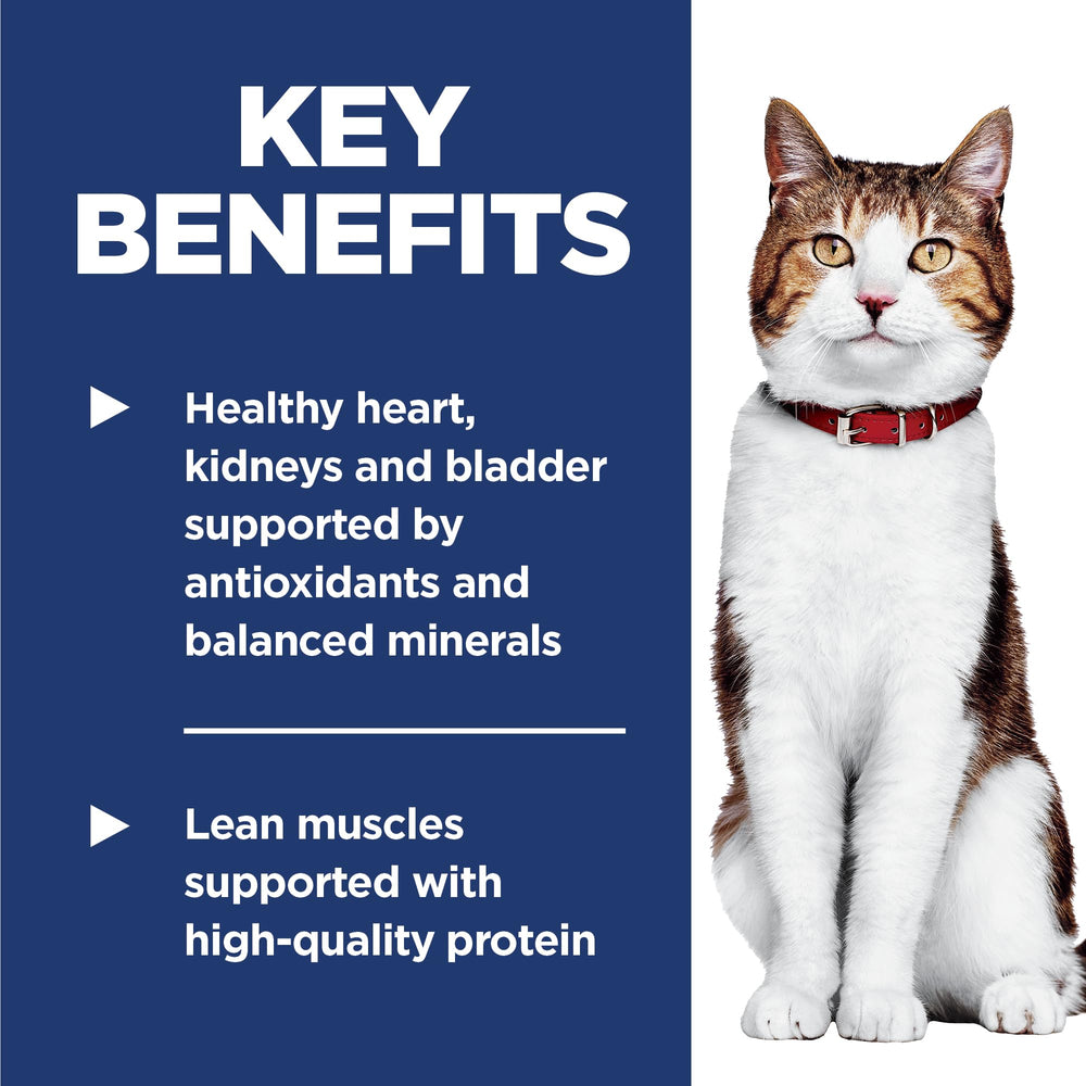 Hill's Science Diet bol servido, mejora energía y apetito en gatos mayores
