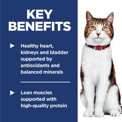 Hill's Science Diet bol servido, mejora energía y apetito en gatos mayores