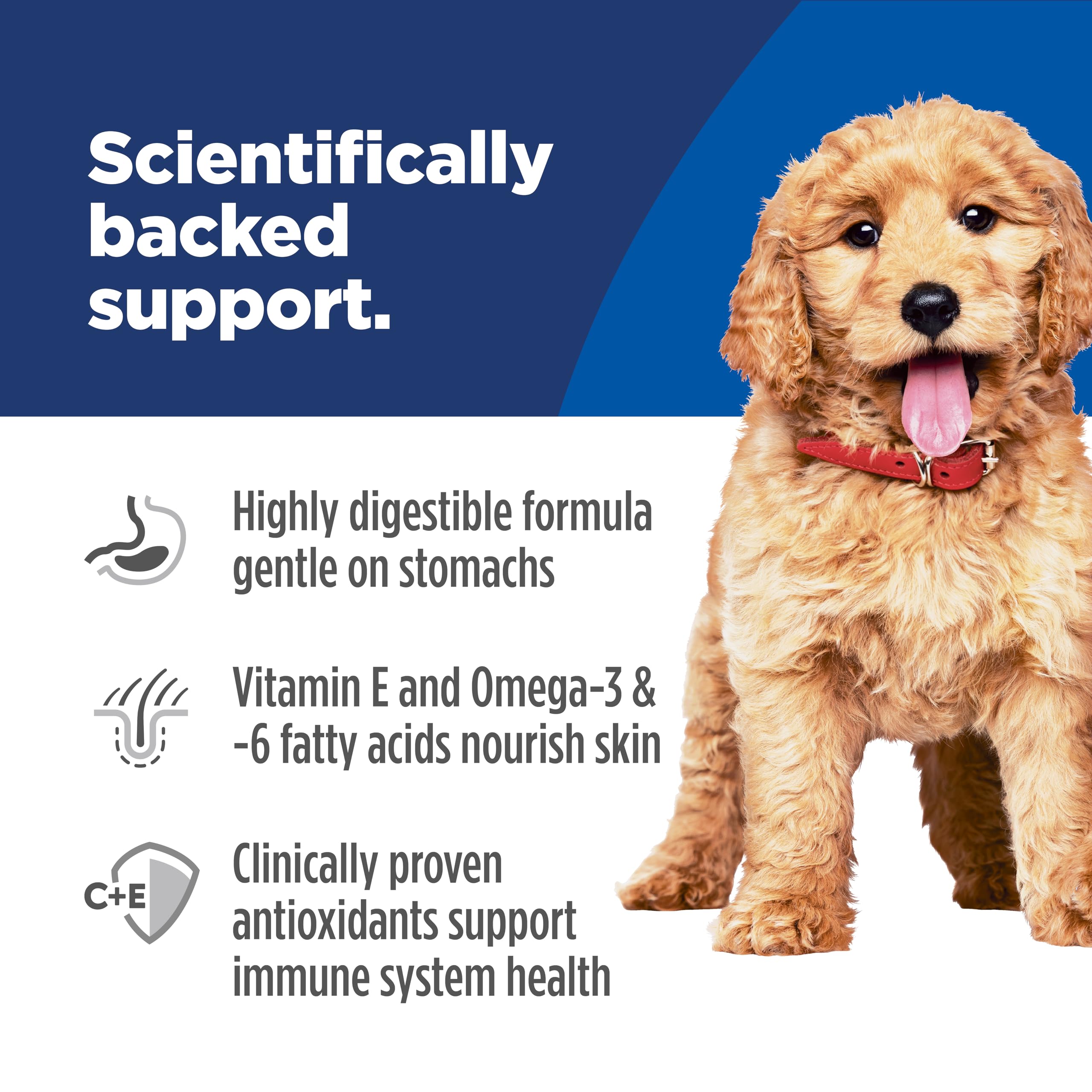 Hill's Science Diet cachorro comiendo para mejor digestión y energía saludable