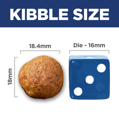 Hill's Science Diet croqueta junto a regla para comparar tamaño