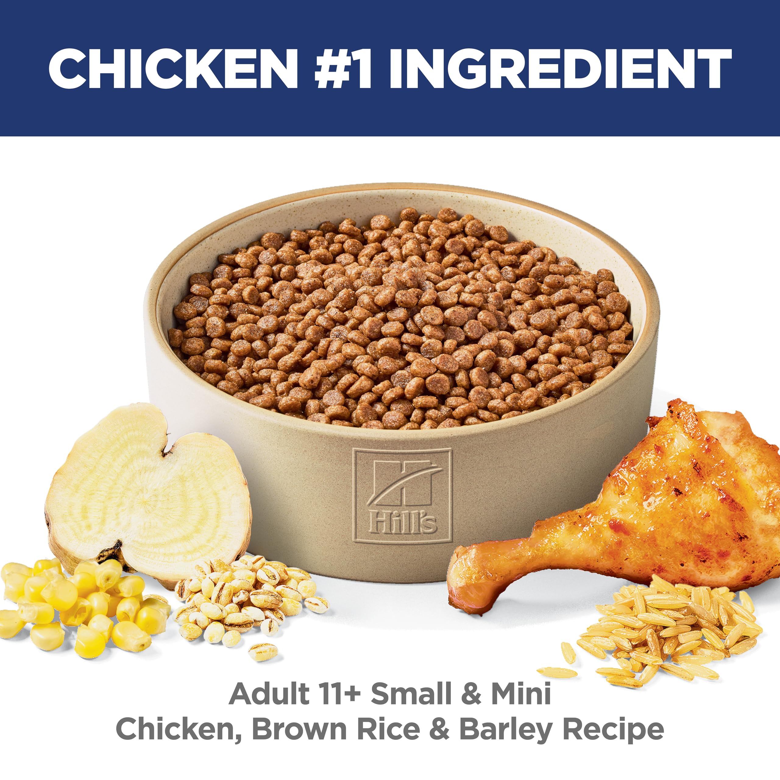 Hill's Science Diet vista de croqueta en primer plano que muestra tamaño adecuado para bocas pequeñas