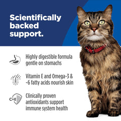 Hill's Science Diet croquetas en plato listas, apetitosas y nutritivas para gatos