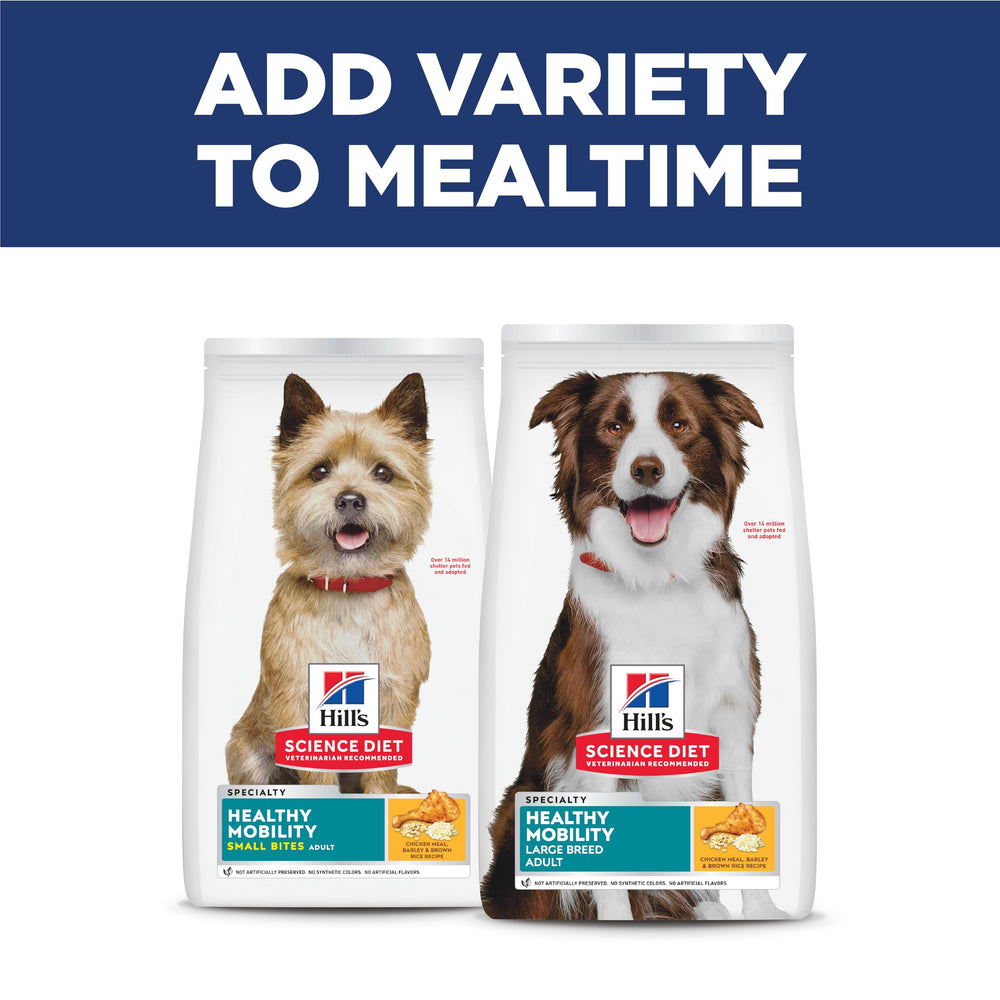 Hill's Science Diet ambiente hogareño con perro activo y saludable