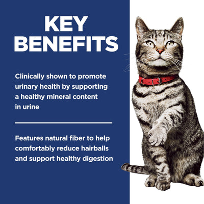 Hill's Science Diet gato comiendo del cuenco, favorece salud urinaria y control bolas de pelo
