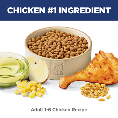 Hill's Science Diet kibble close-up highlighting texture and digestibility