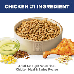Hill's Science Diet kibble close-up showing bite-sized texture for easier chewing