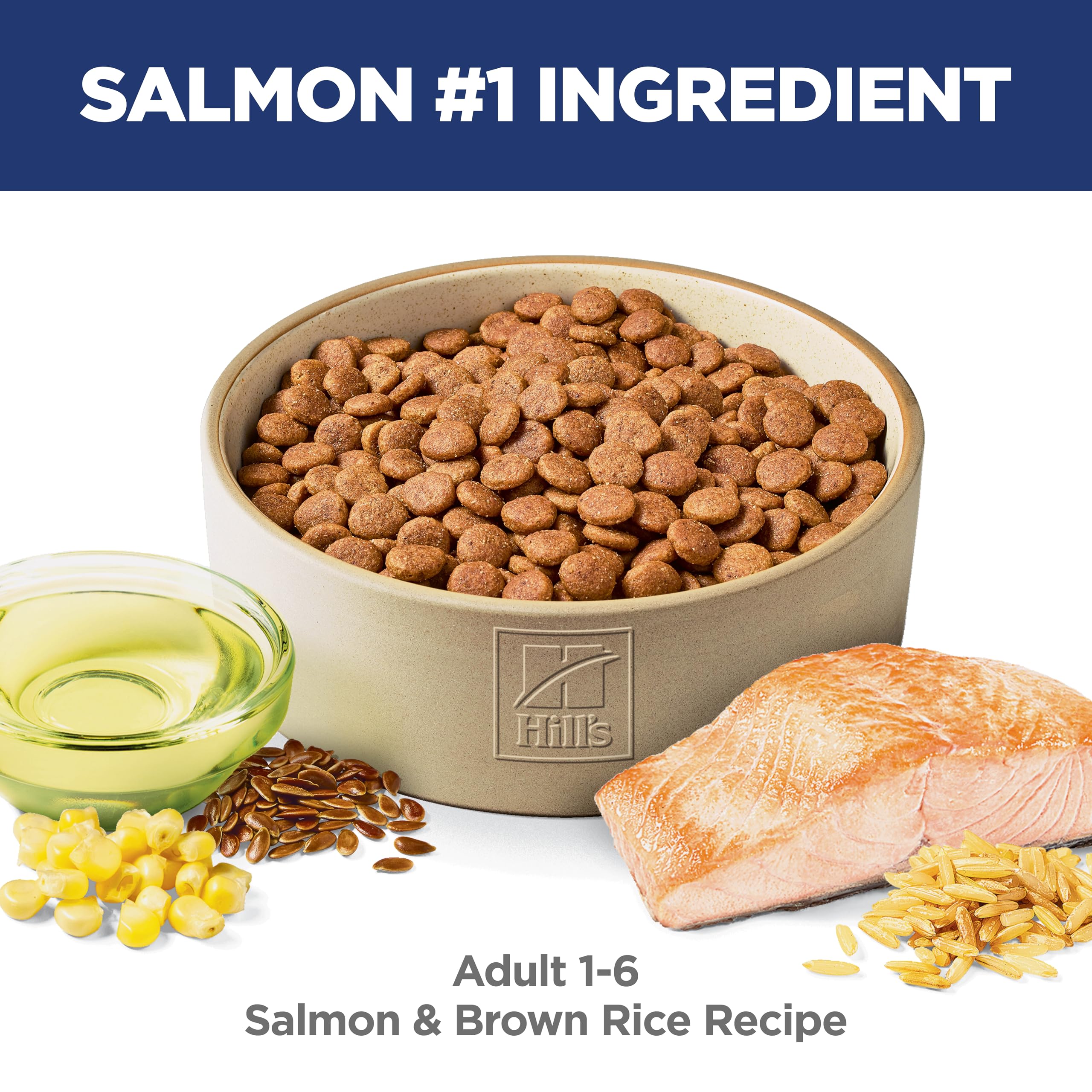 Hill's Science Diet textura del kibble en primer plano para apetito y crocancia