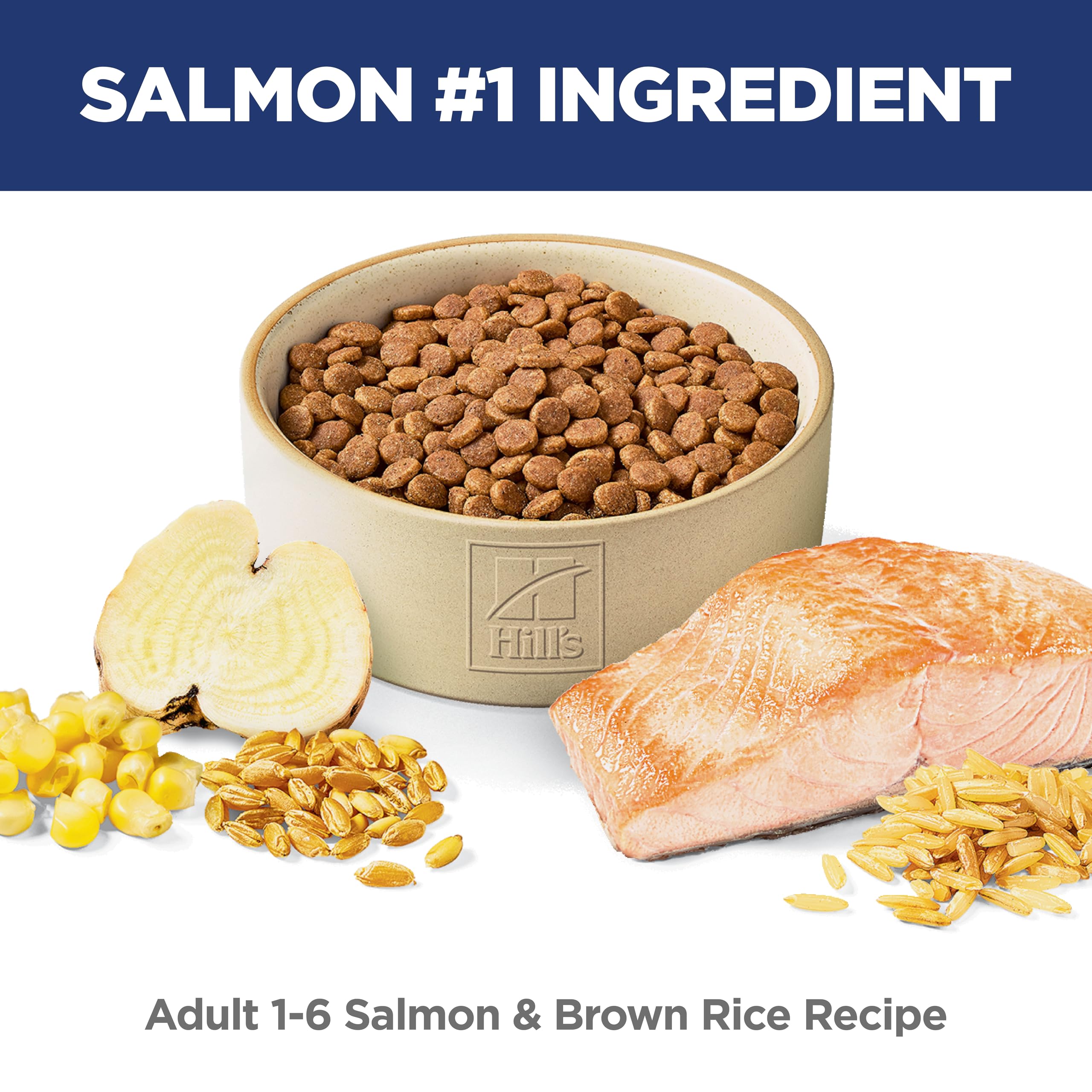 Hill's Science Diet detalle del kibble para apreciar textura digestible y calidad