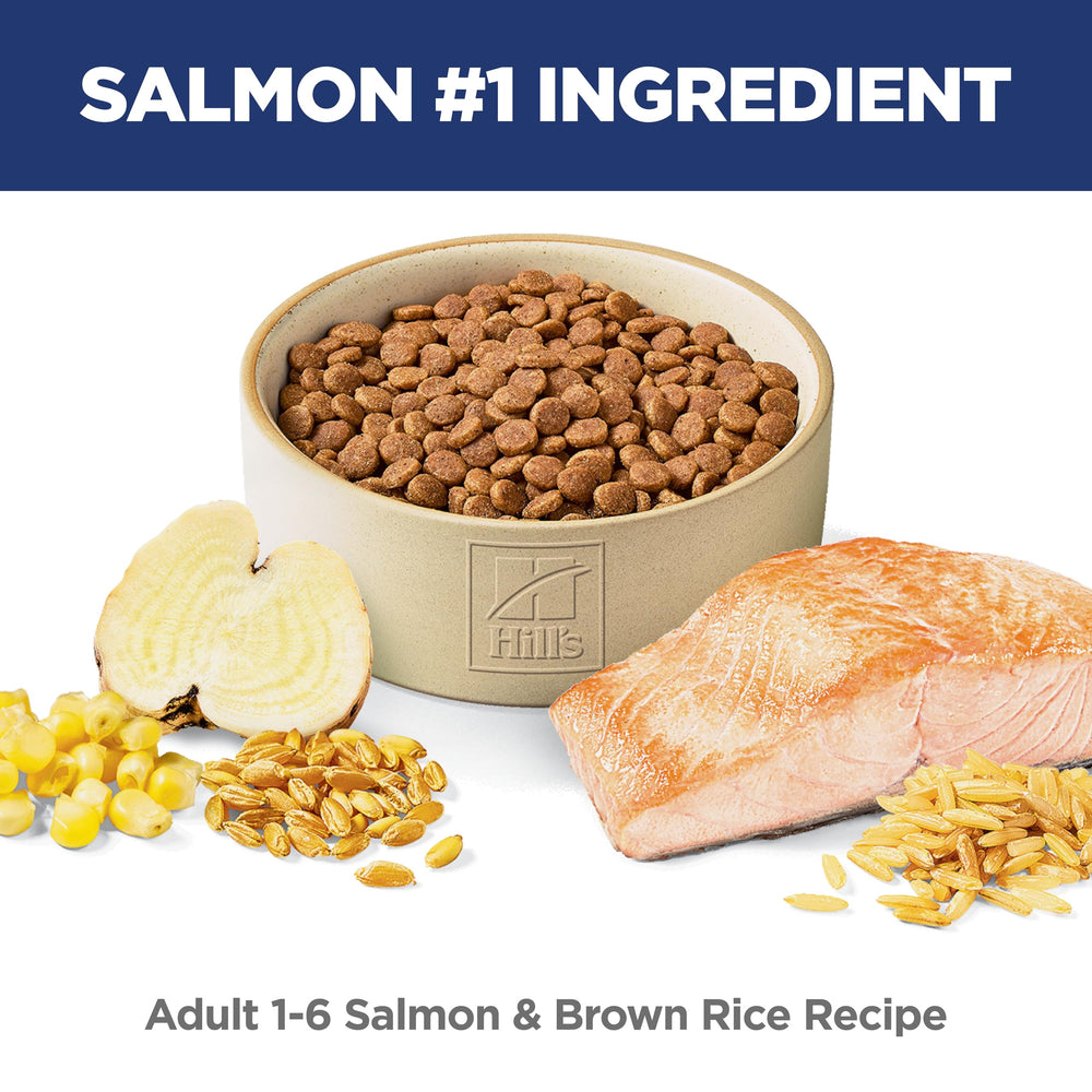 Hill's Science Diet detalle del kibble para apreciar textura digestible y calidad