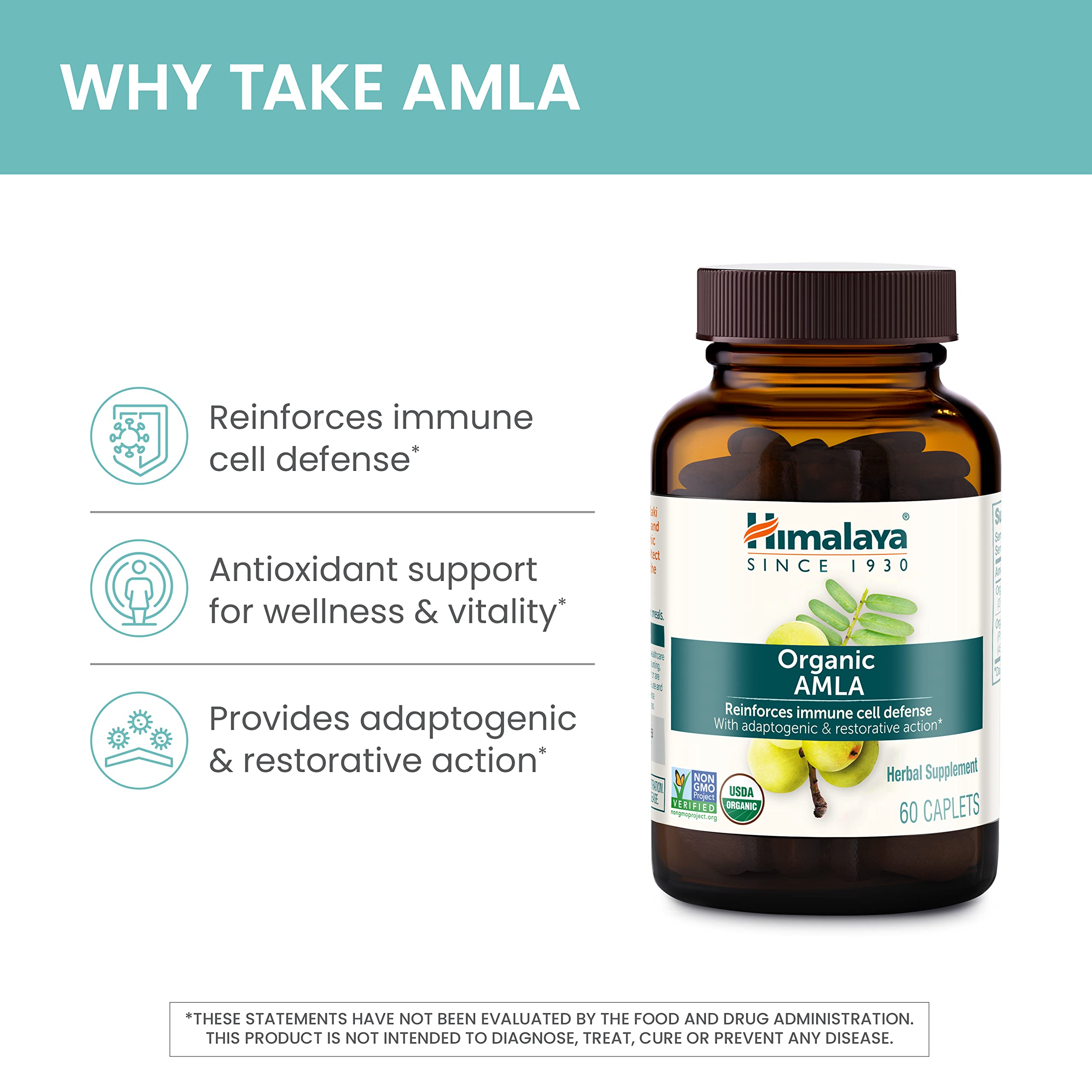 Himalaya polvo de Amla orgánico textura y color que sugiere pureza
