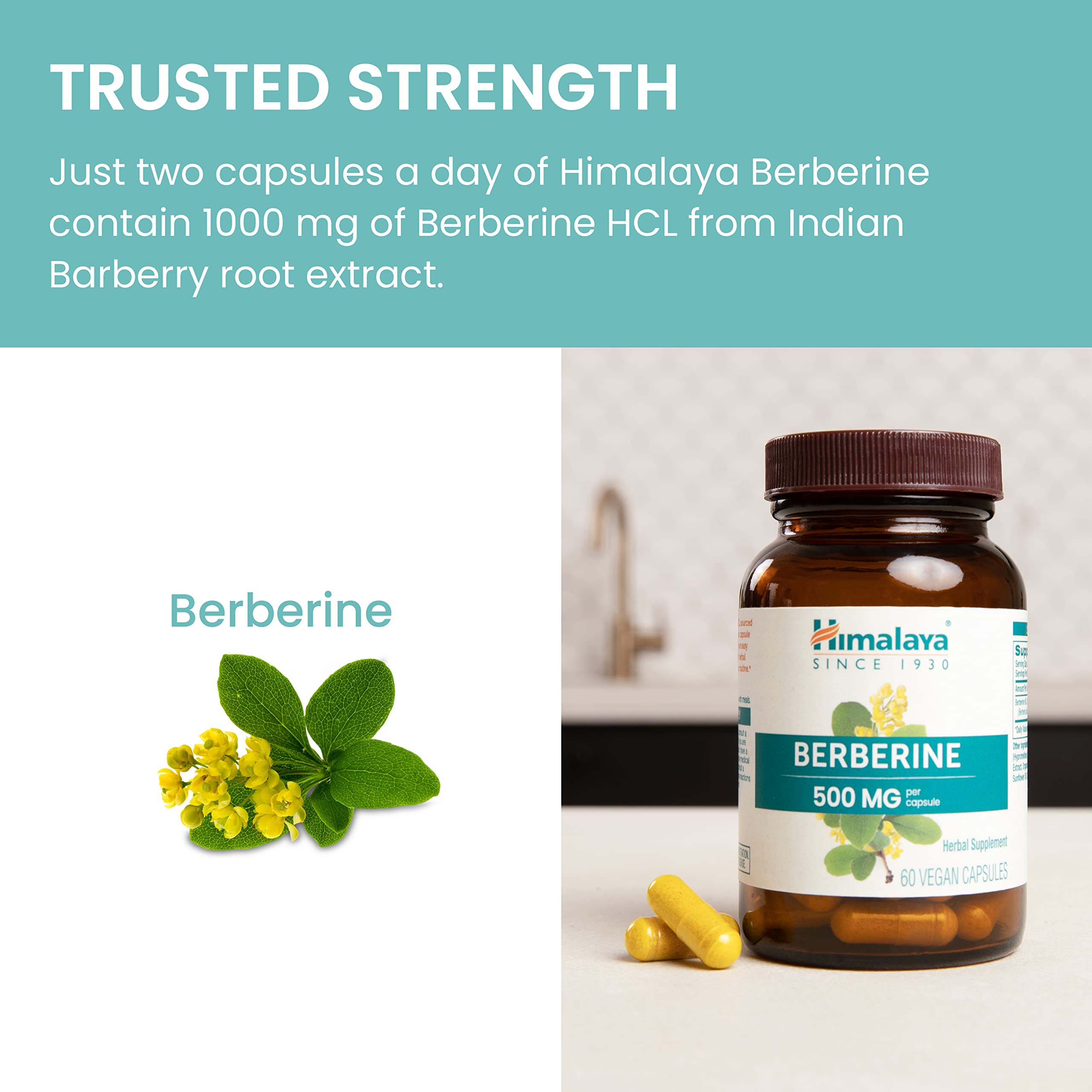 Himalaya frasco de berberine en una cocina saludable sugiriendo uso diario