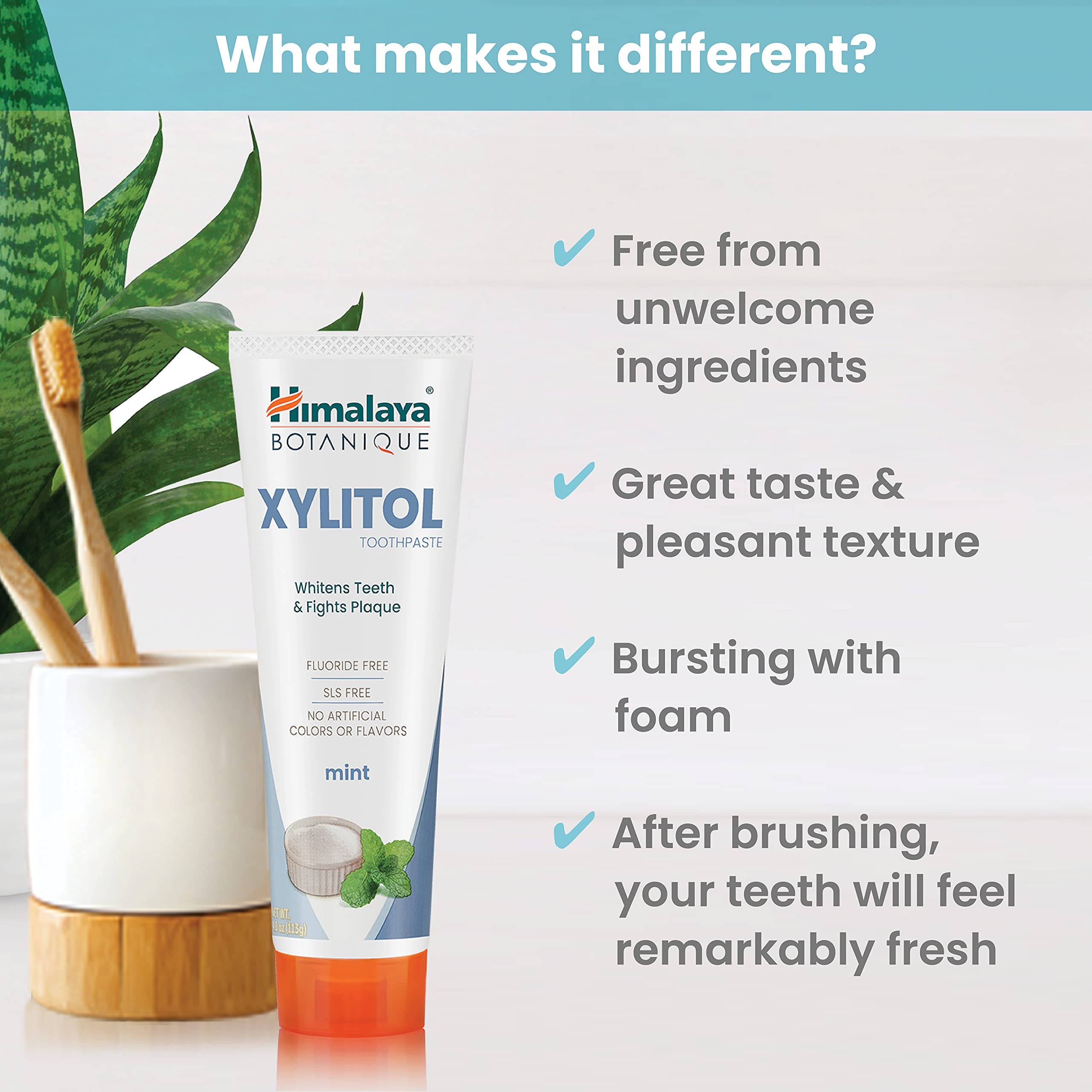 Himalaya persona cepillando dientes demostrando frescor y limpieza diaria