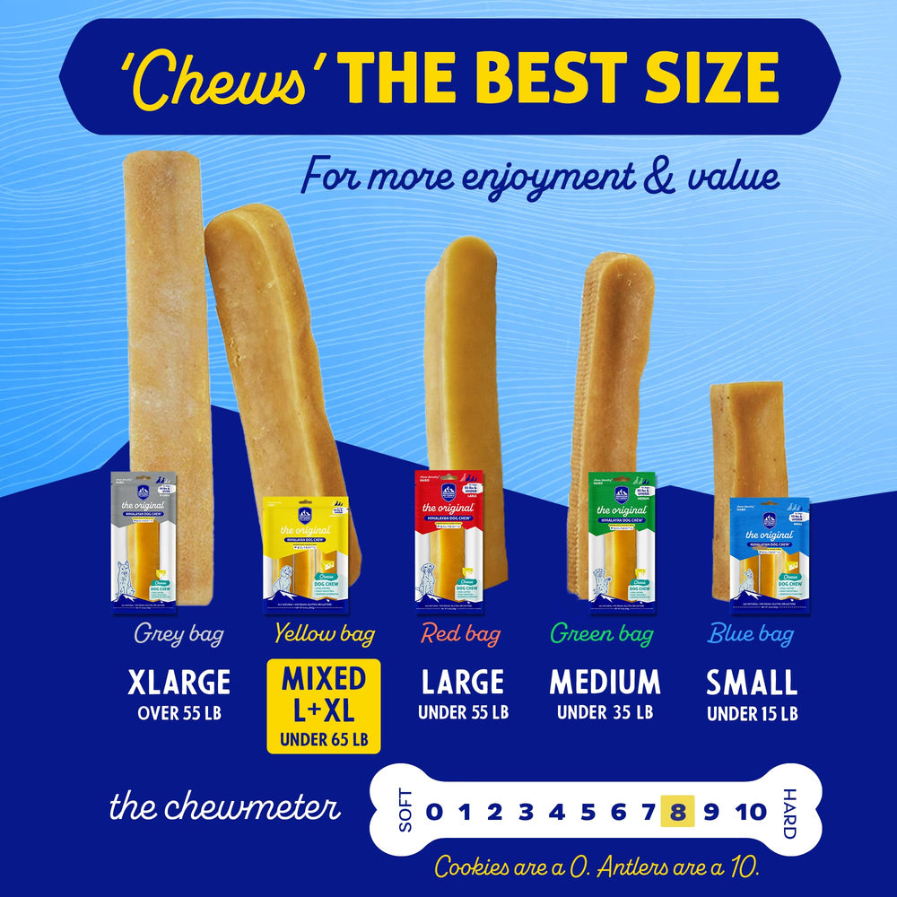 Himalayan Dog Chew comparación de tamaño con mano humana, proporción clara