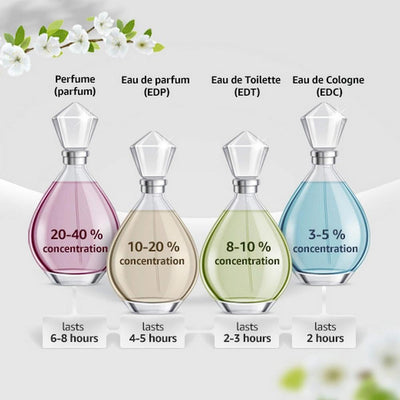 Hollister comparación de tamaño del frasco 100 ml para viaje y tocador