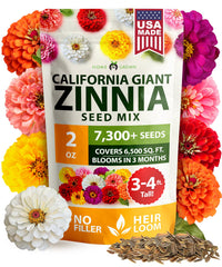 HOME GROWN paquete frontal con semillas California Giant mostrando cantidad y mezcla