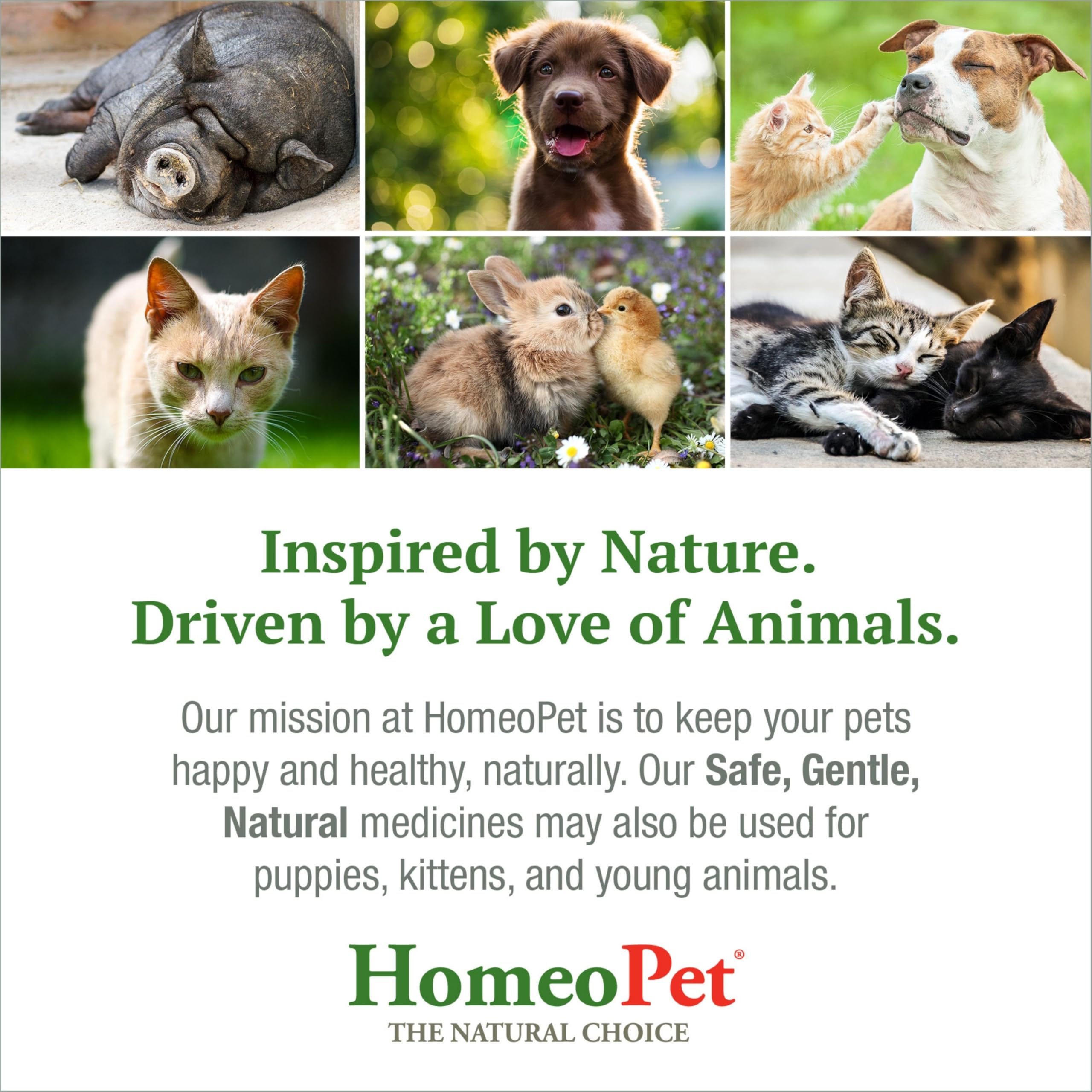 HomeoPet Feline Nose Relief detalle del tapón gotero que facilita la dosificación segura