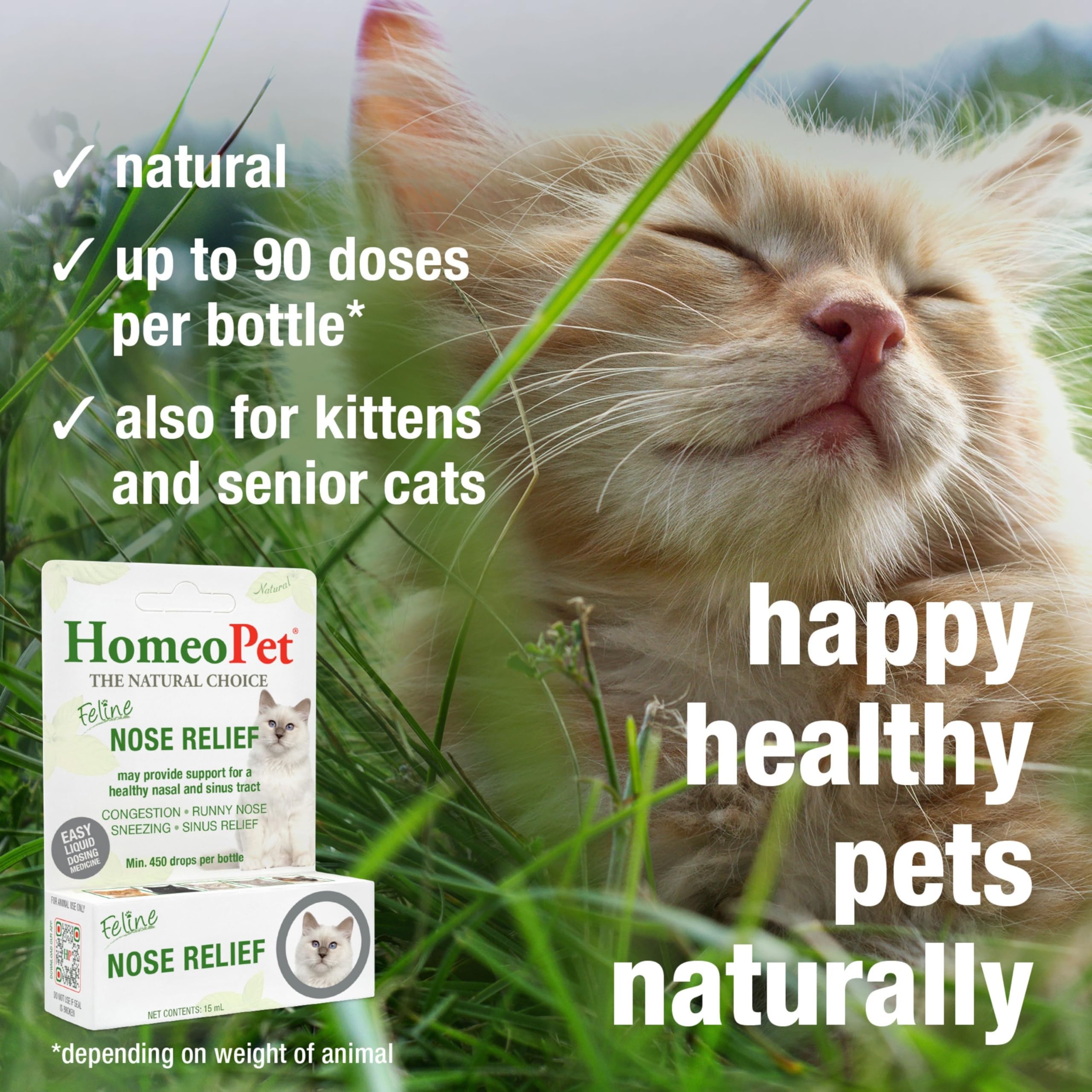 HomeoPet Feline Nose Relief administrándose a un gato mostrando comodidad y control